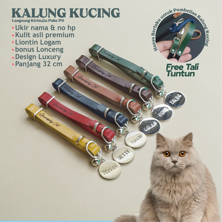 Kalung kucing kulit custom stainless + Tali - Kalung Hewan 